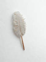 Claws' Laws - Image 3